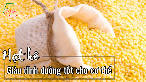 Hạt kê có tác dụng trừ những bệnh gì?